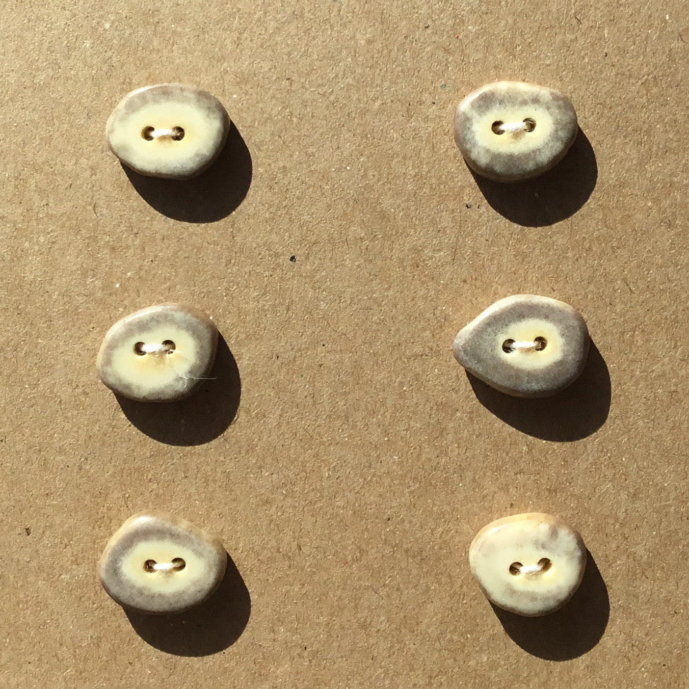 Polished Deer Antler Shed Buttons 11/16" 6-Pack