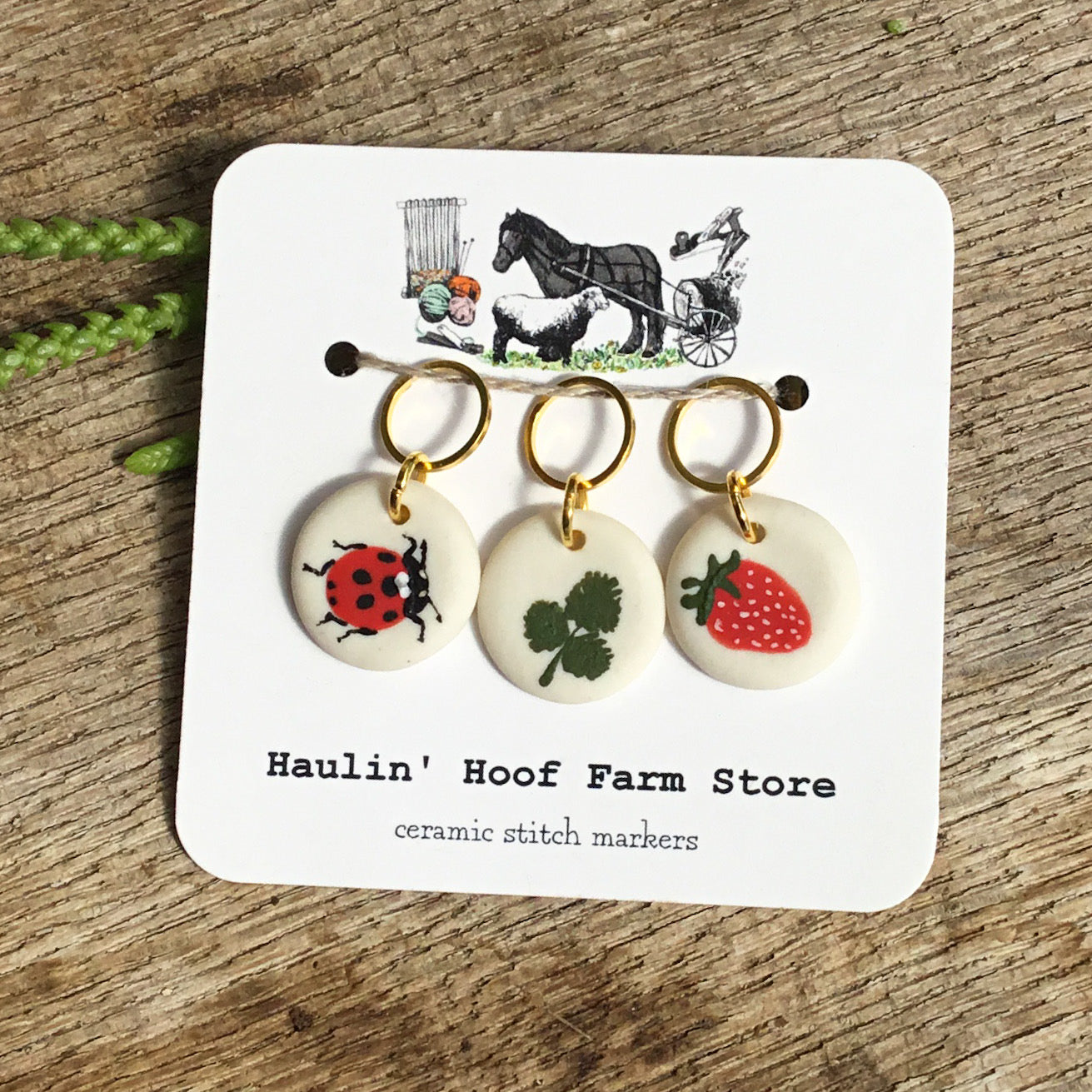'Ladybug in the Strawberry Patch' Stitch Marker Set