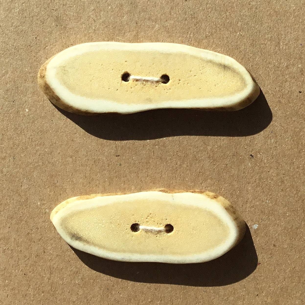 Polished Deer Antler Shed Buttons 2-1/2" x 3/4" 2-Pack