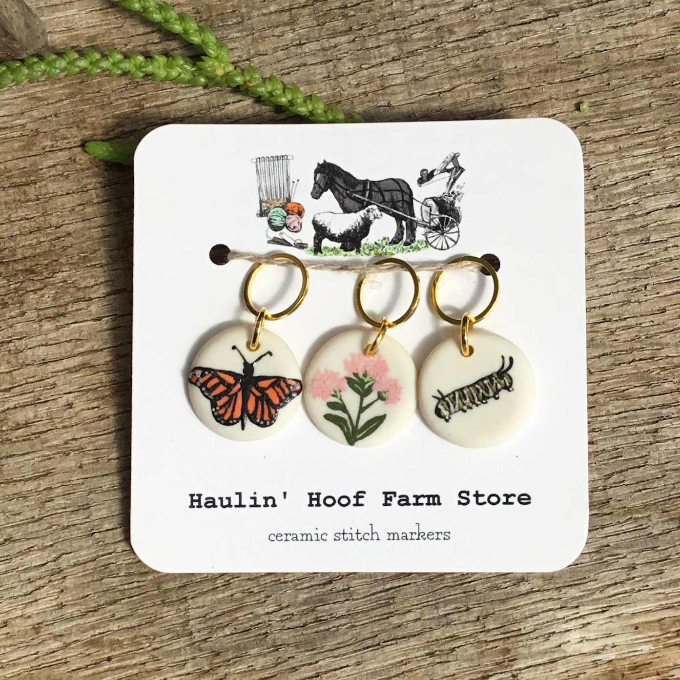 'Monarch Life Cycle' Stitch Marker Set