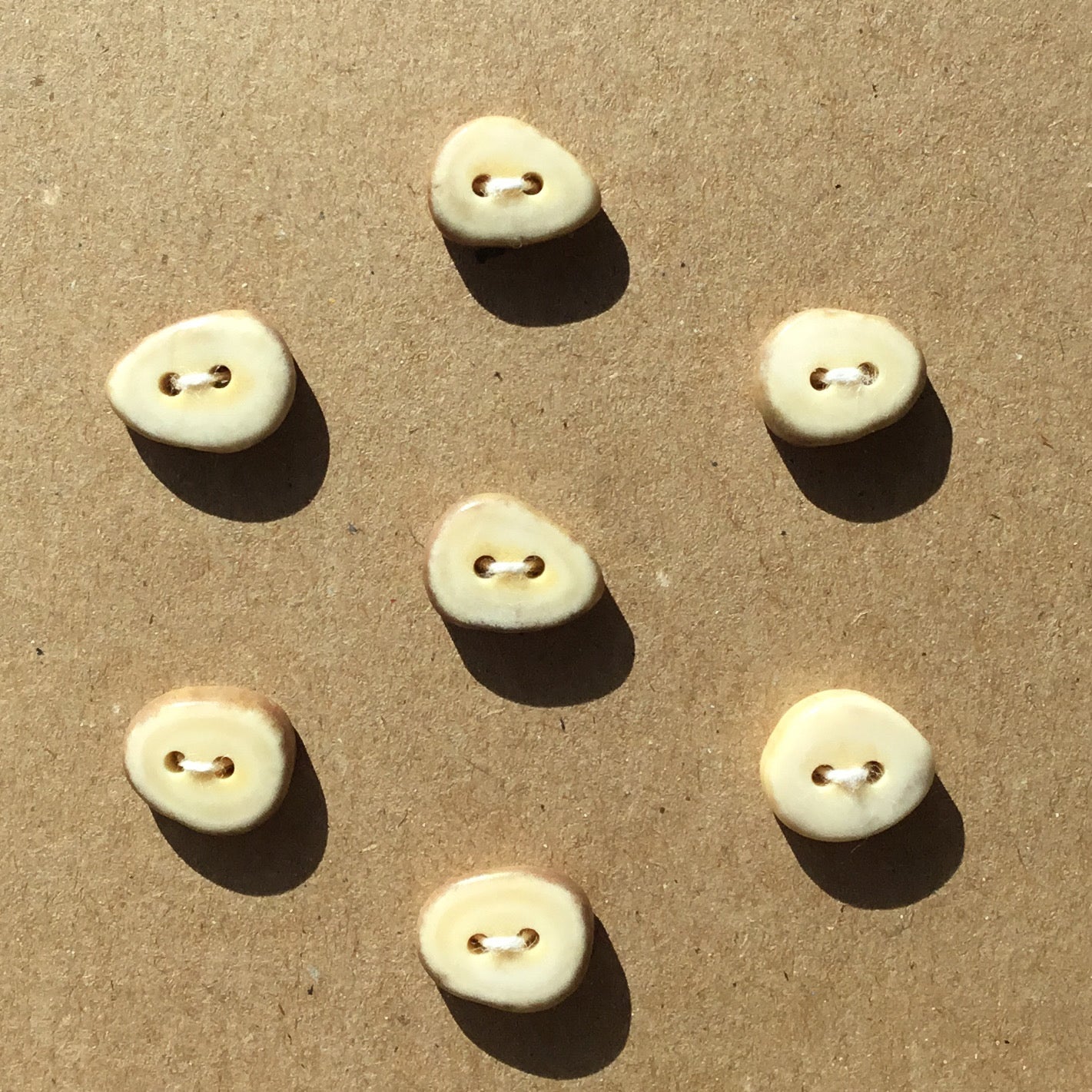 Polished Deer Antler Shed Buttons 9/16" 7-Pack