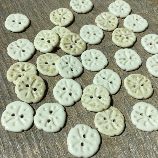Sand Dollar Porcelain Button 11/16”