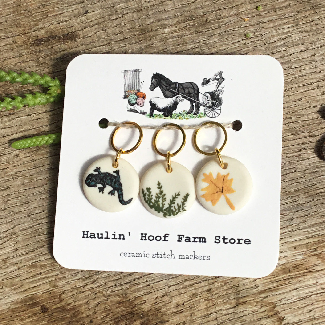 ‘Forest Salamander' Stitch Marker Set