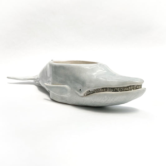 'Baleen' Blue Whale Pot - Ceramic Whale Planter