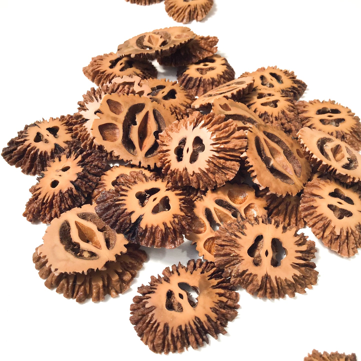 Black Walnut Shell Buttons - unique nut shell buttons