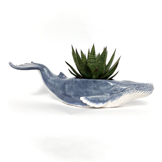 Humpback Whale Pot - Ceramic Whale Planter
