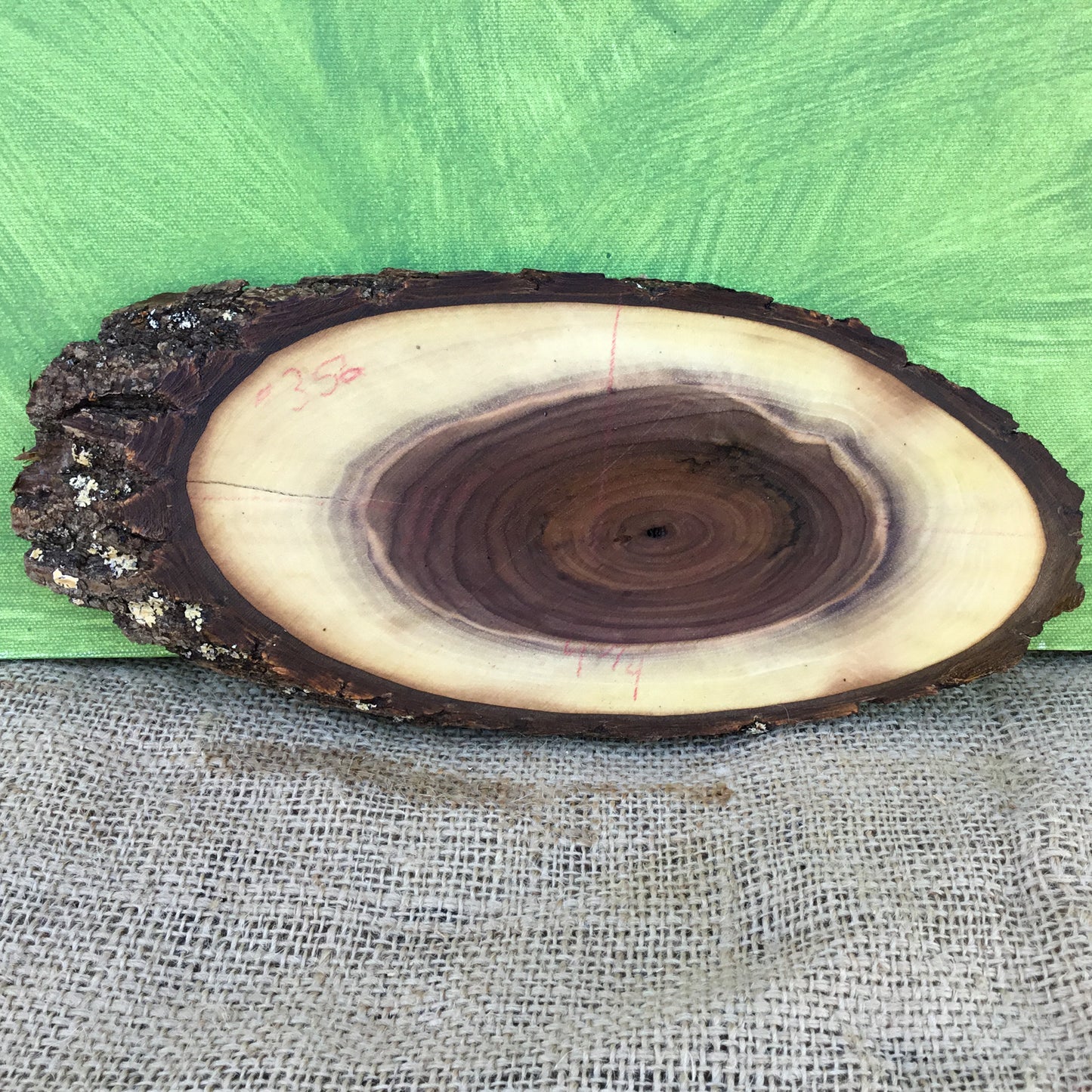 Black Walnut Live Edge Wood Slice - 11" x 4.5" x 1"