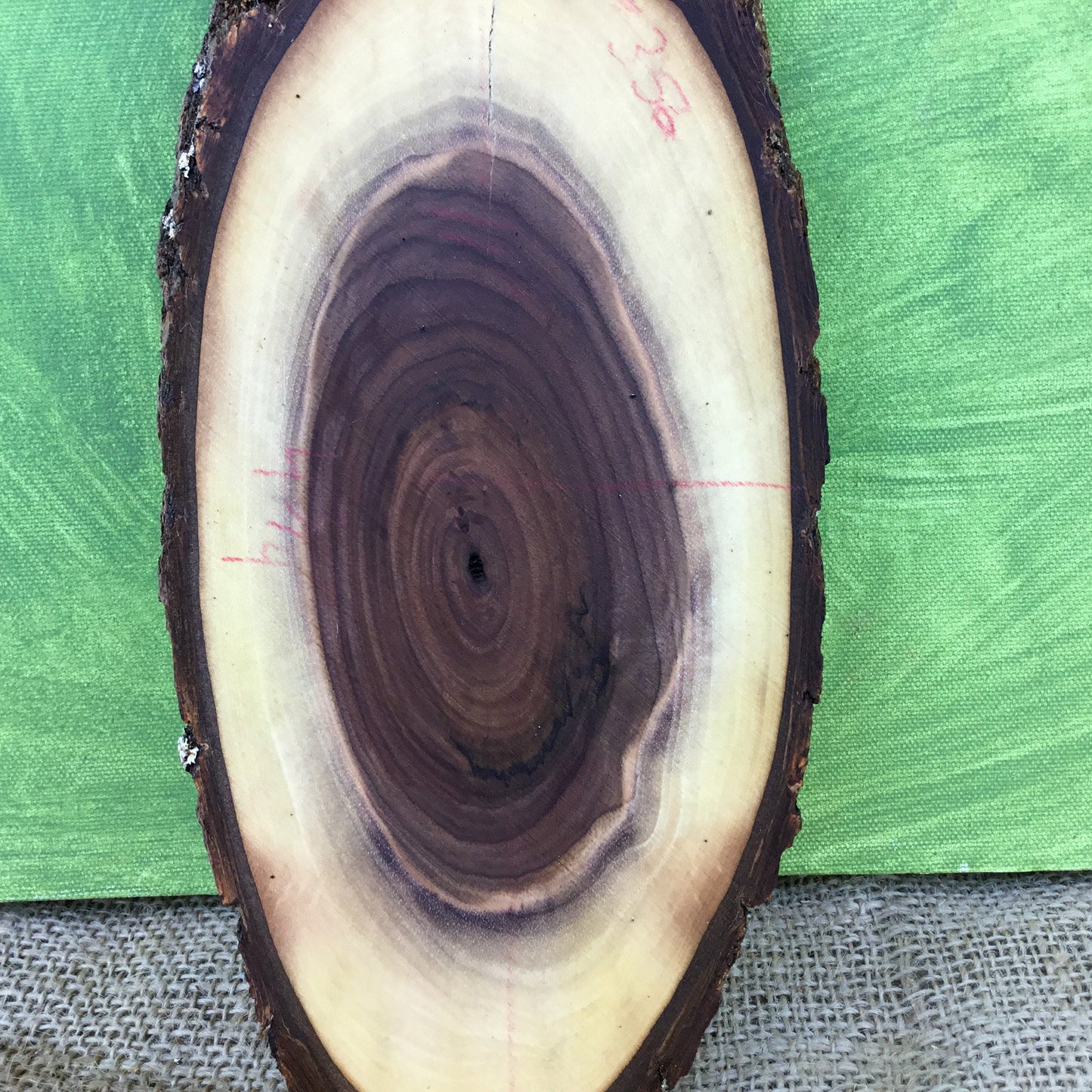 Black Walnut Live Edge Wood Slice - 11" x 4.5" x 1"