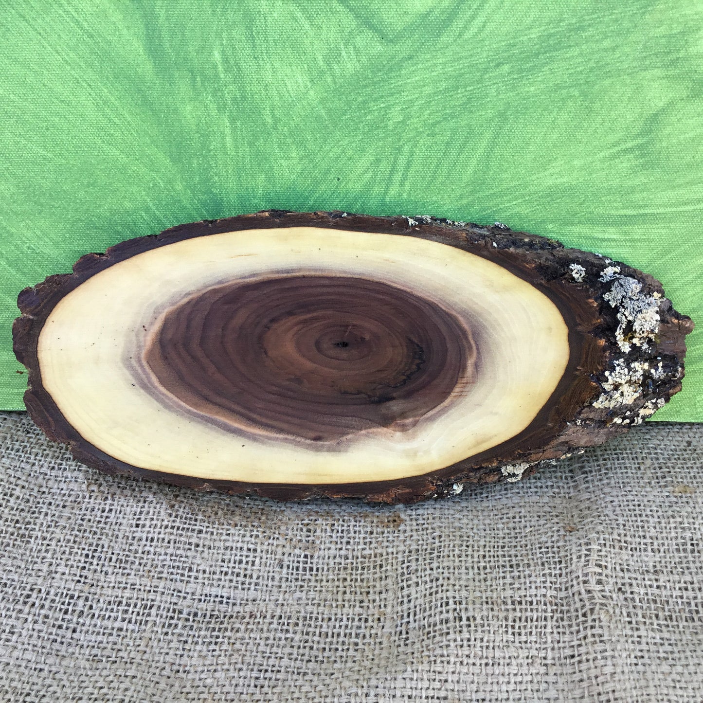 Black Walnut Live Edge Wood Slice - 11" x 4.5" x 1"
