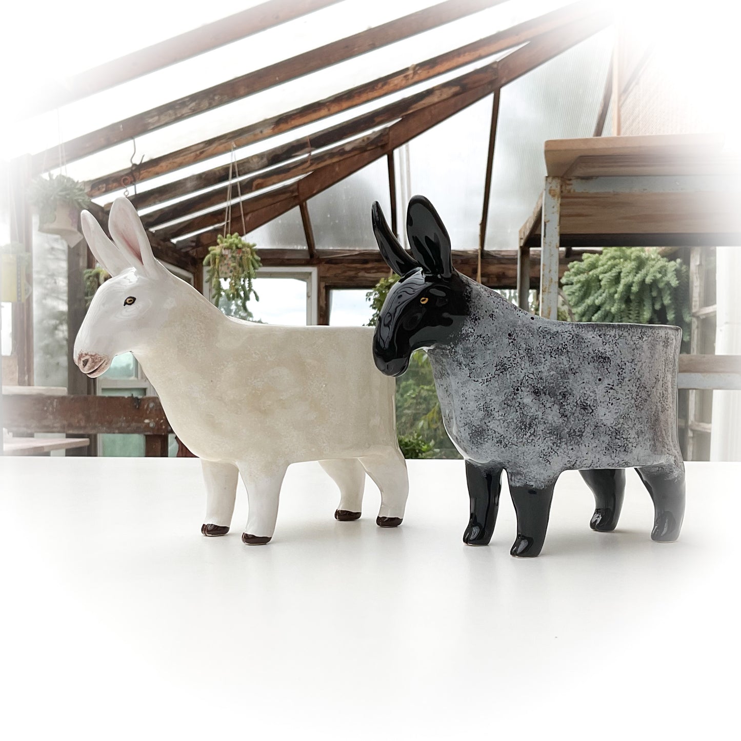 *RESERVED LISTING* Border Leicester Sheep Planters - Ceramic Sheep Planters