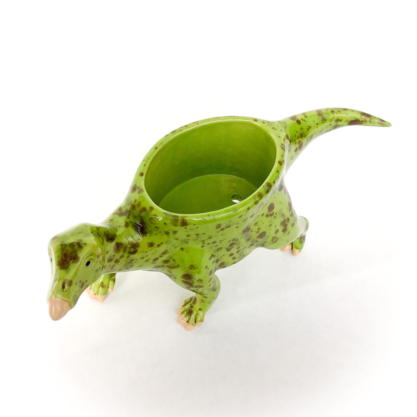 Iguanodon Dinosaur Planter - Dinosaur Succulent Planter