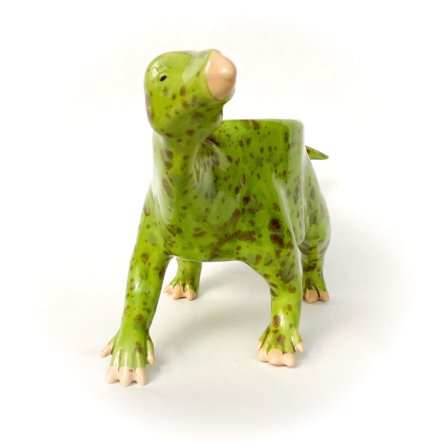 Iguanodon Dinosaur Planter - Dinosaur Succulent Planter