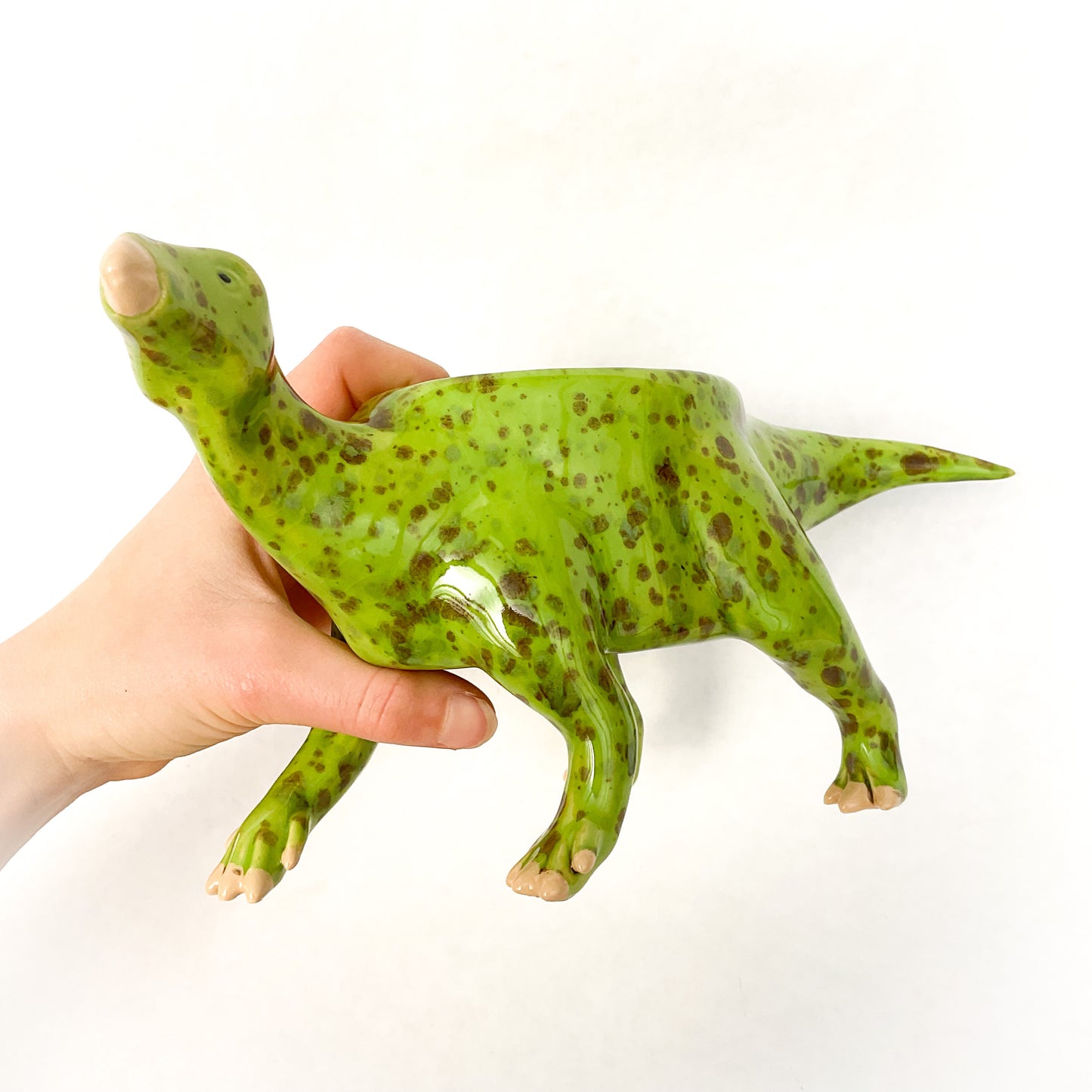Iguanodon Dinosaur Planter - Dinosaur Succulent Planter