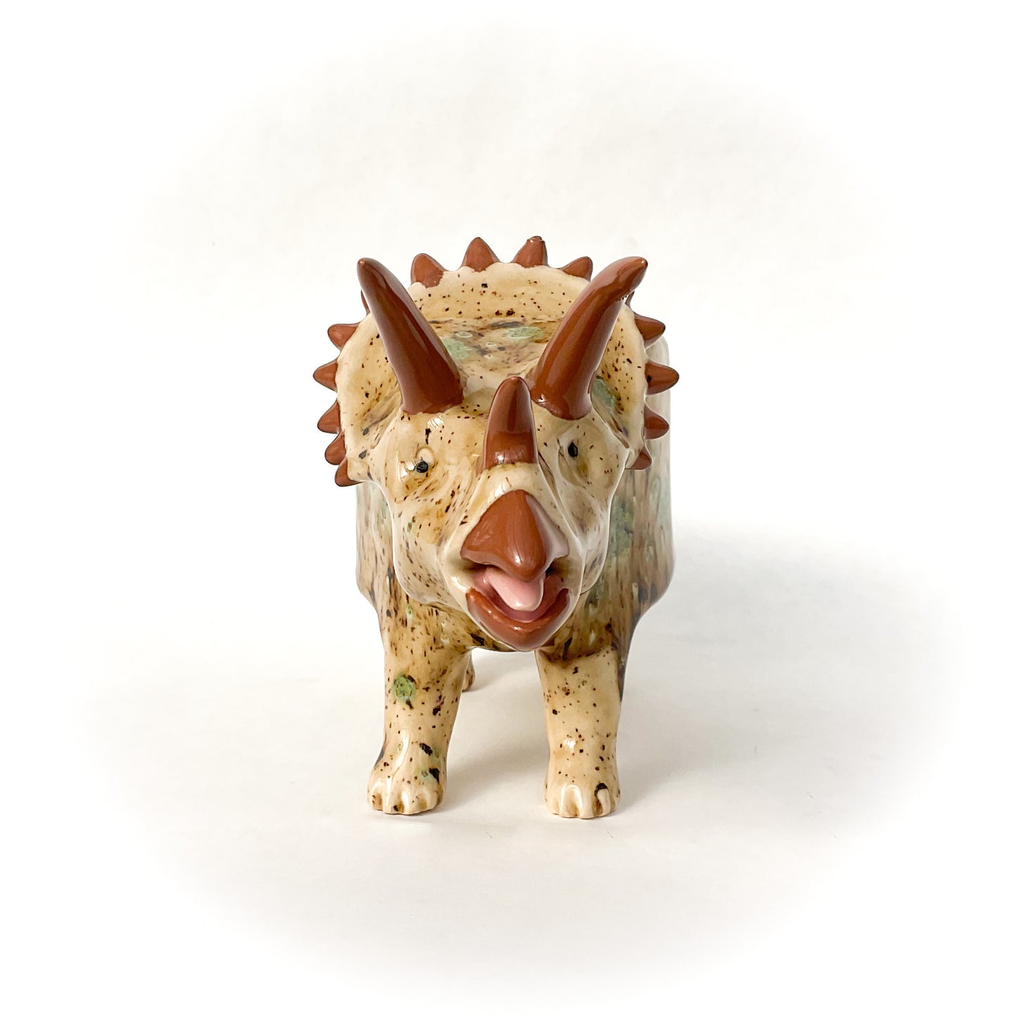 Speckled Brown Triceratops Dinosaur Planter - Dinosaur Succulent Planter