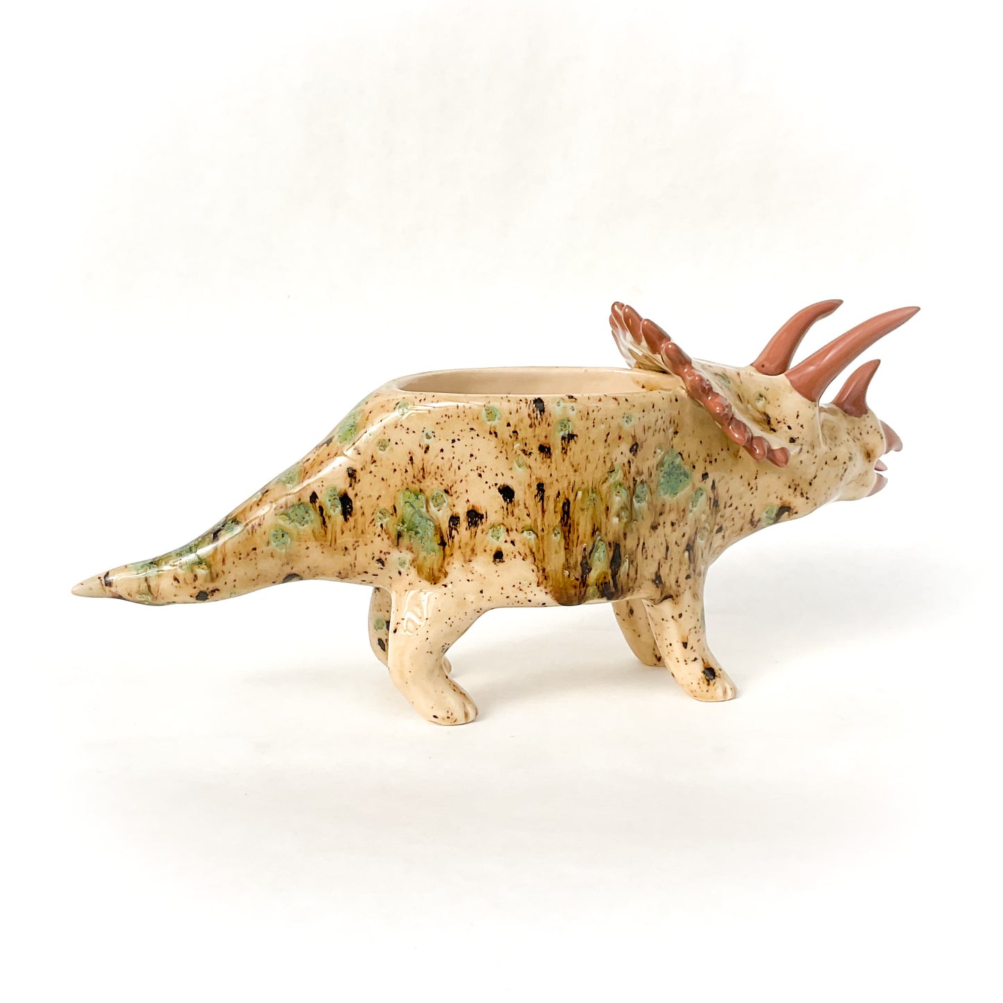 Speckled Brown Triceratops Dinosaur Planter - Dinosaur Succulent Planter