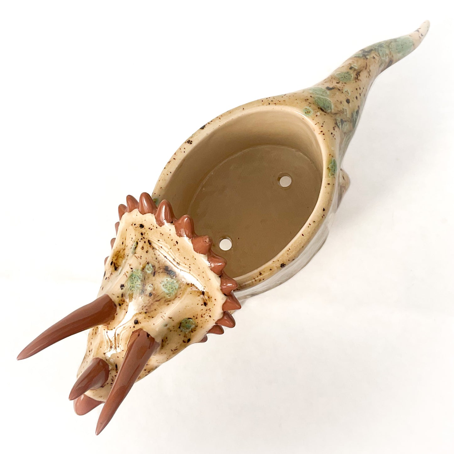 Speckled Brown Triceratops Dinosaur Planter - Dinosaur Succulent Planter