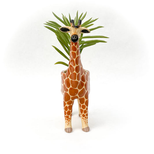Giraffe Pot - Ceramic Giraffe Planter