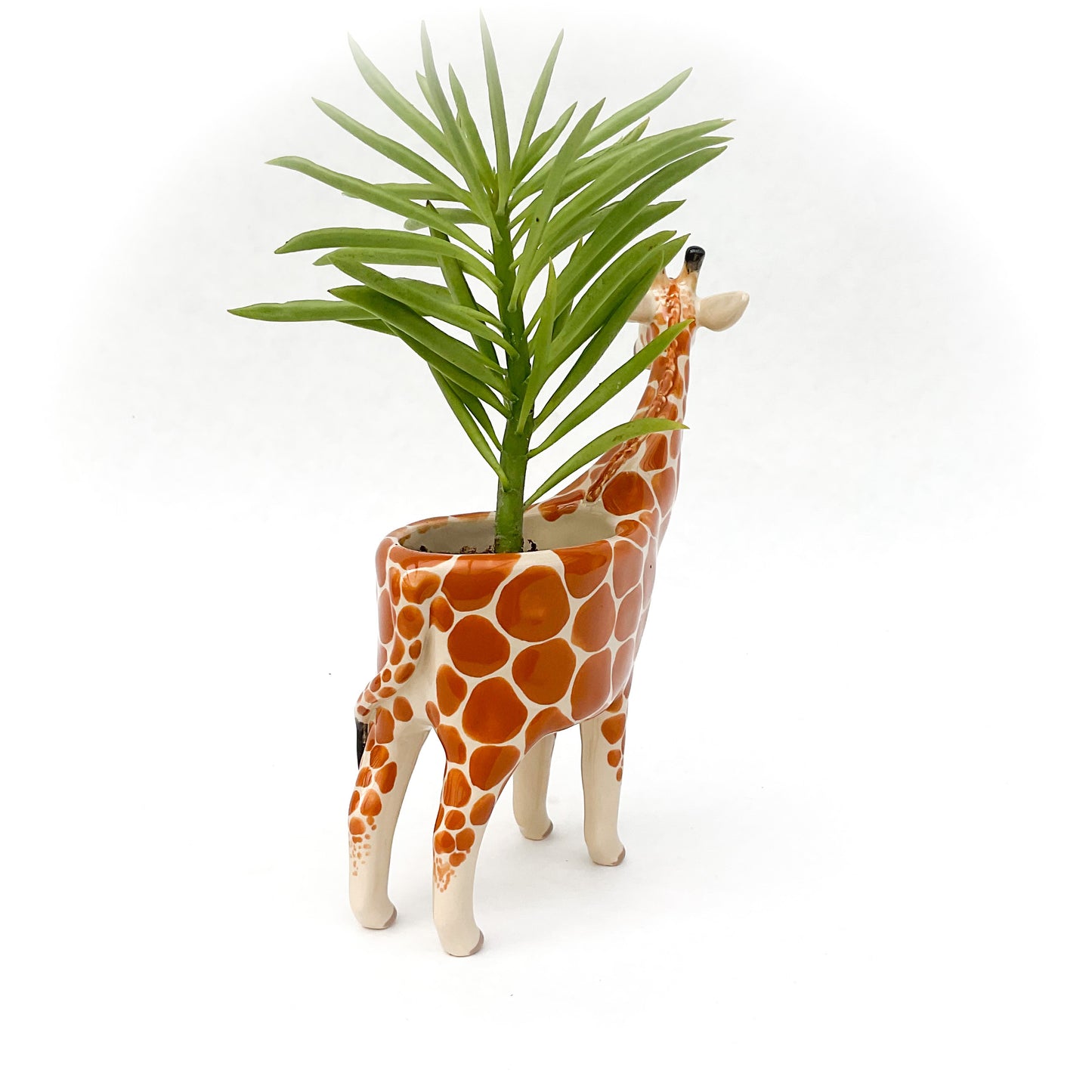 Giraffe Pot - Ceramic Giraffe Planter