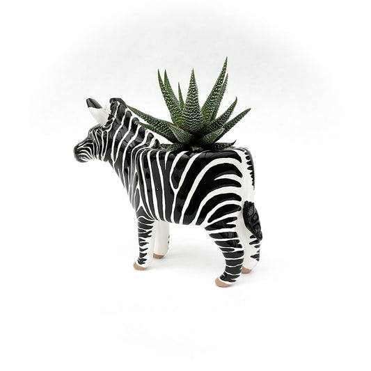 Zebra Pot - Ceramic Zebra Planter
