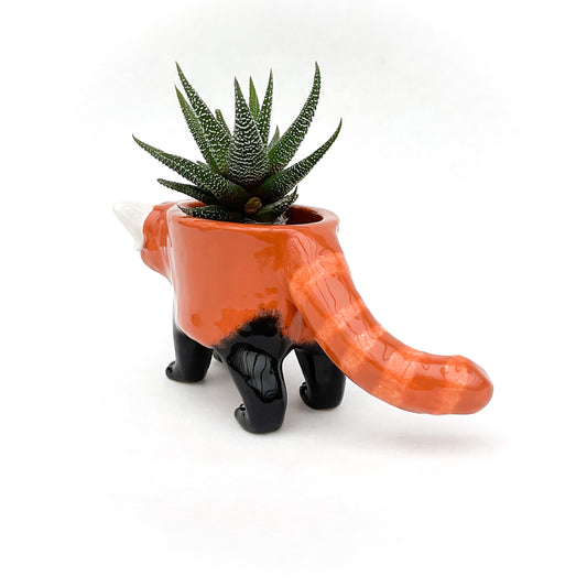 Red Panda Pot - Ceramic Red Panda Bear Planter