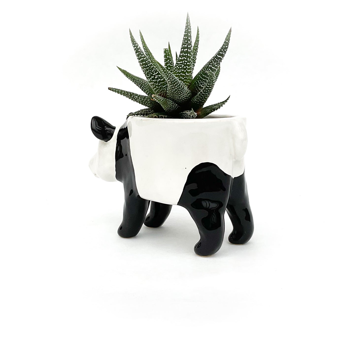 Giant Panda Pot - Ceramic Panda Bear Planter