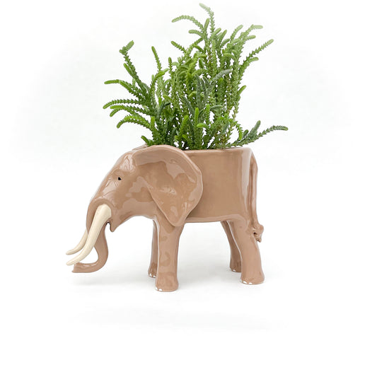 African Elephant Planter - Elephant Succulent Pot