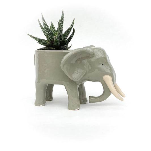 African Elephant Planter - Elephant Succulent Pot