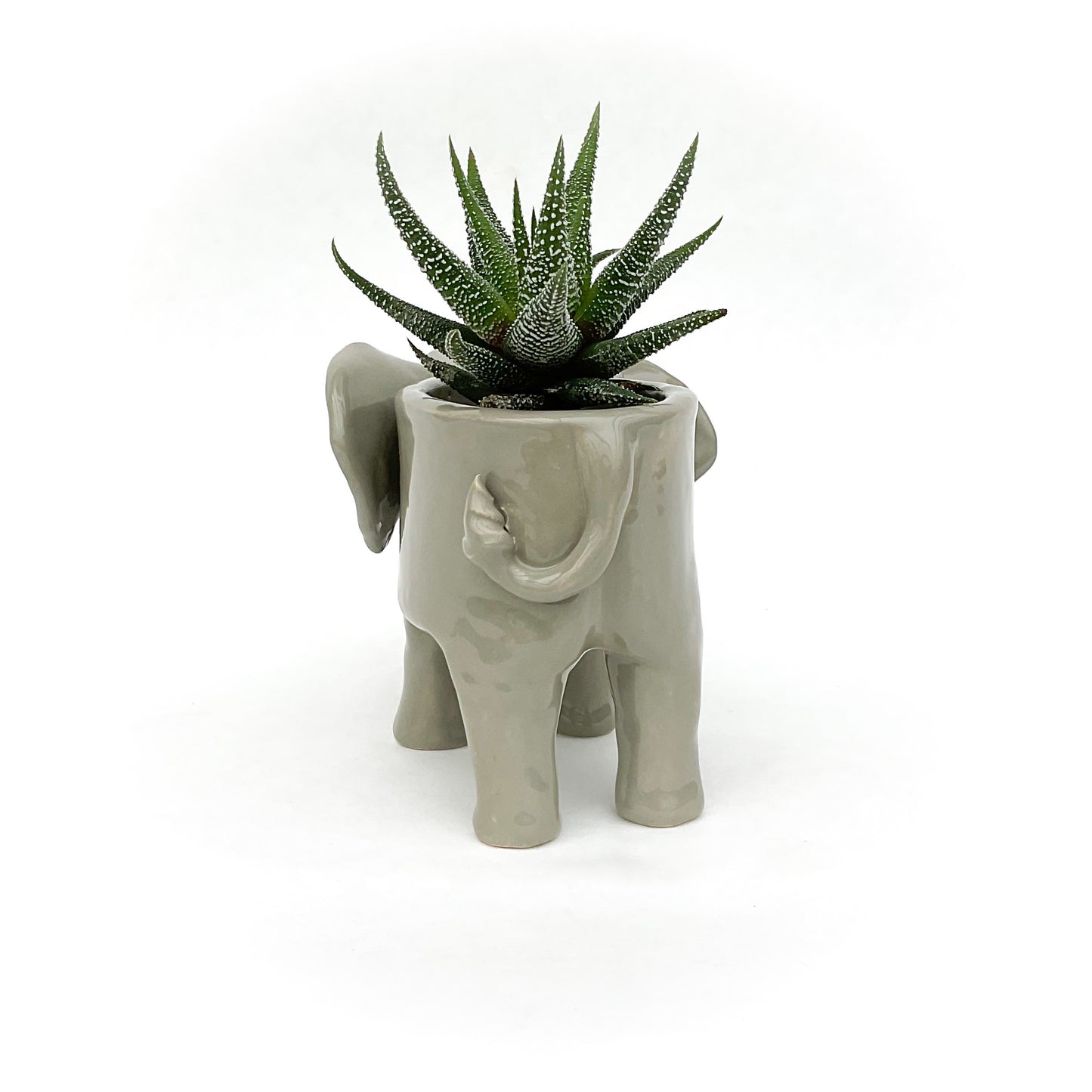 African Elephant Planter - Elephant Succulent Pot