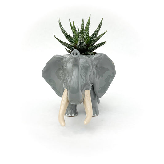 African Elephant Planter - Elephant Succulent Pot