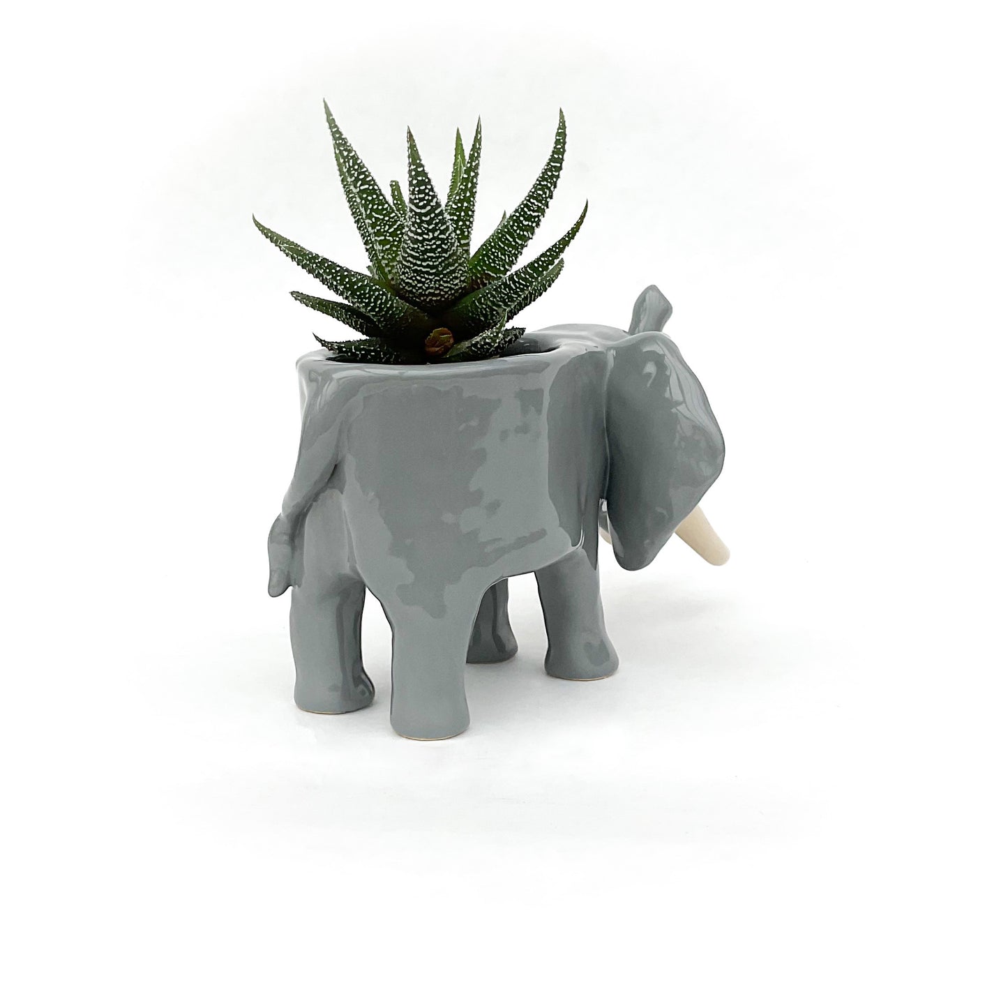 African Elephant Planter - Elephant Succulent Pot