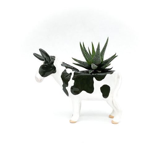 American Mammoth Jackstock Donkey Pot