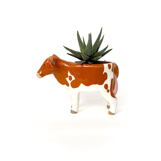 Little Guernsey Cow Pot