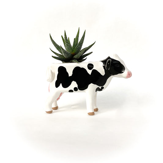Holstein Friesian Cow Pot