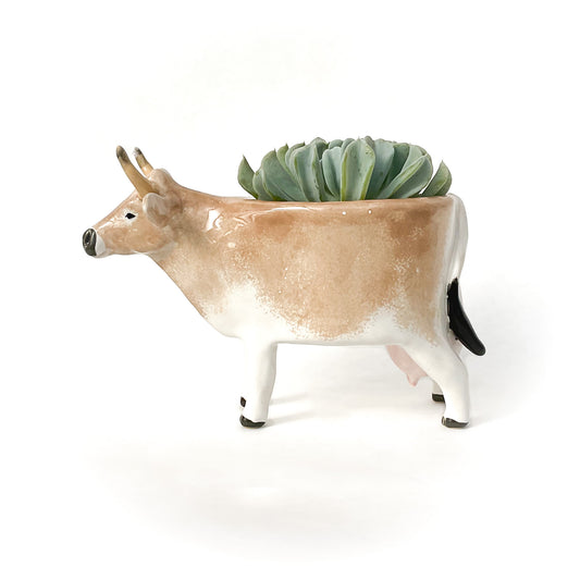 Brown Swiss Cow Pot