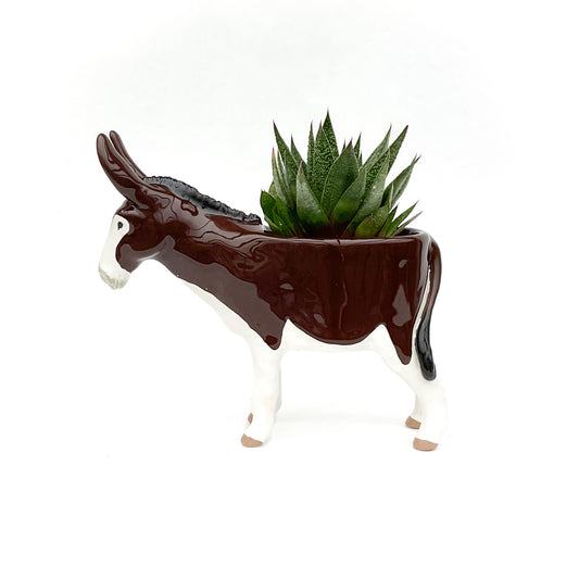 American Mammoth Jackstock Donkey Pot