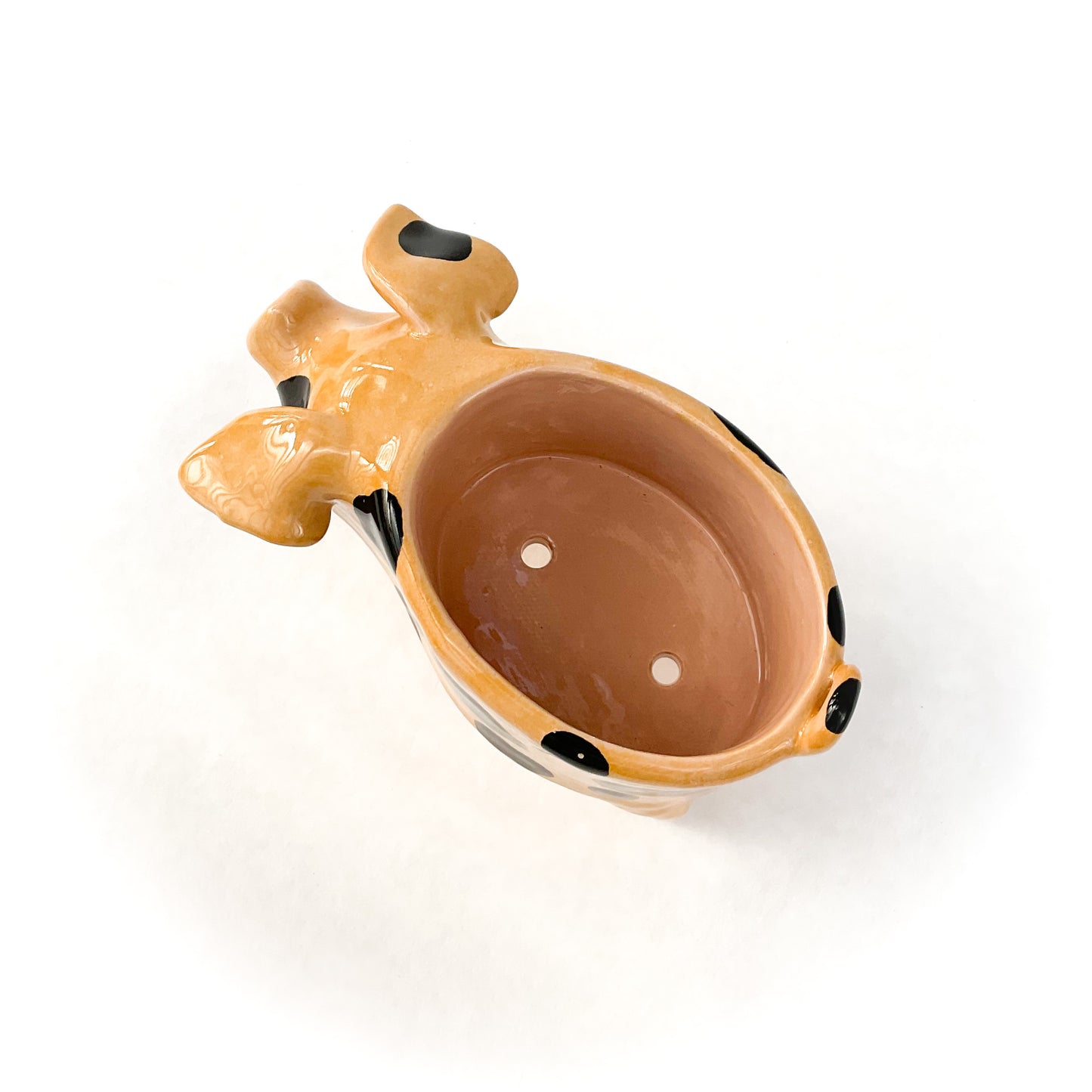 Gloucestershire Pig Pot