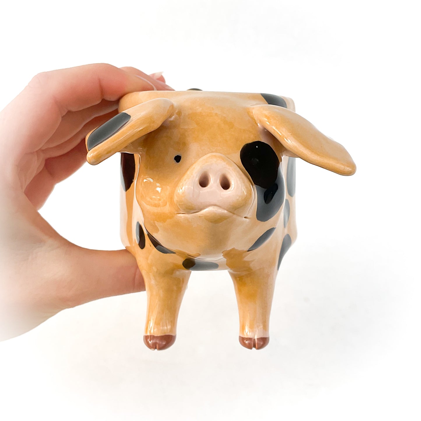 Gloucestershire Pig Pot