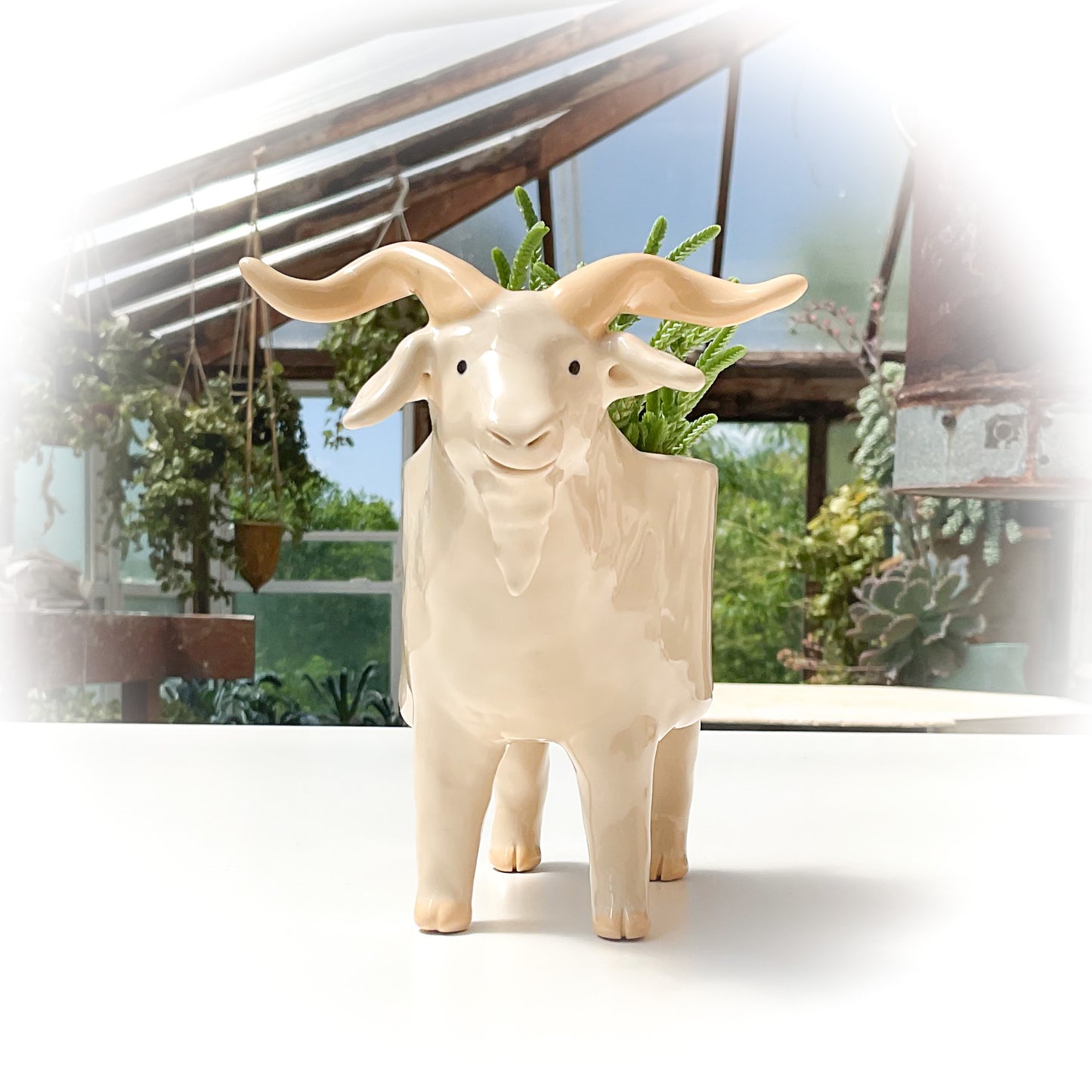 Angora Goat Pot - Ceramic Goat Planter