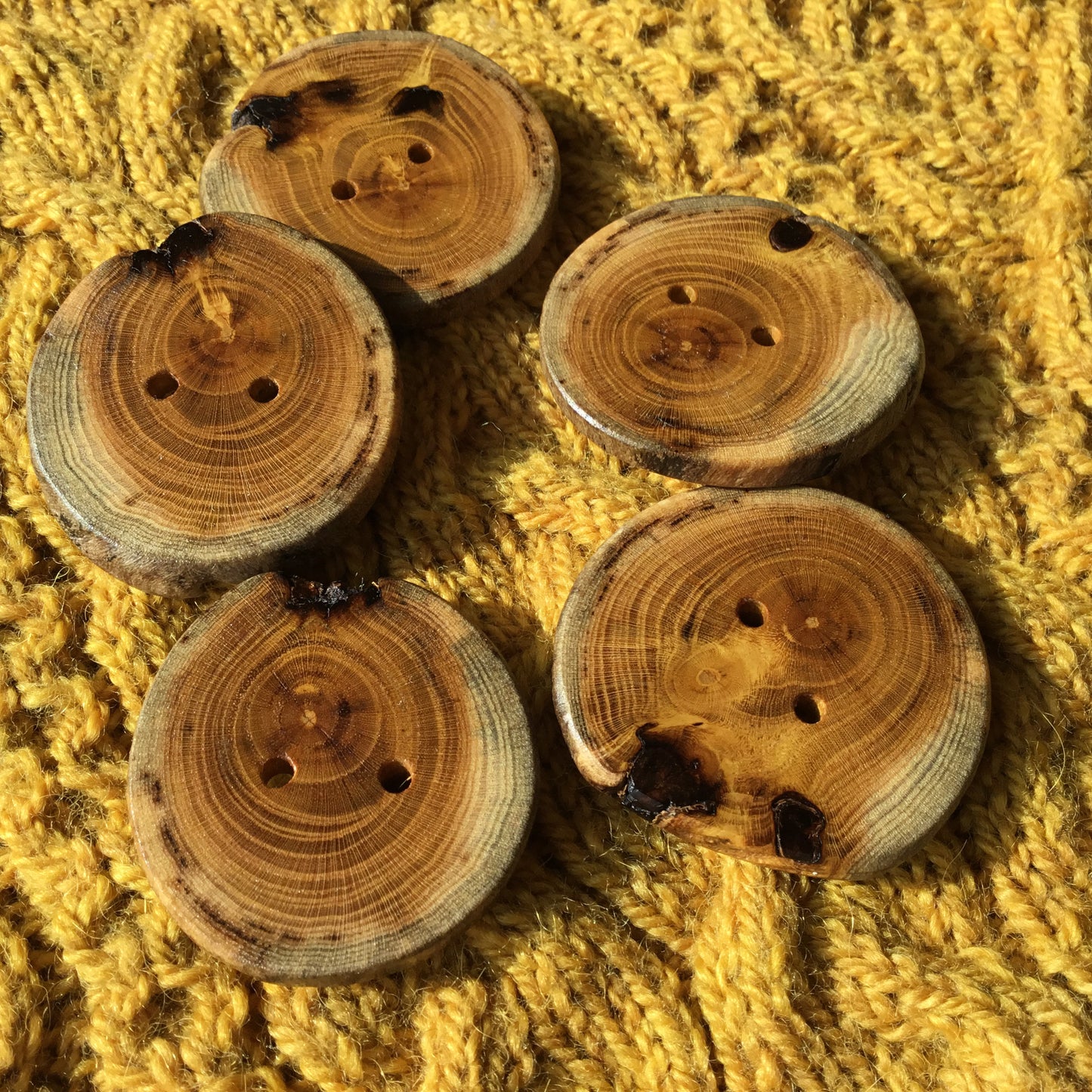 Polished Mulberry Wood Cross-section Buttons  1-3/4”