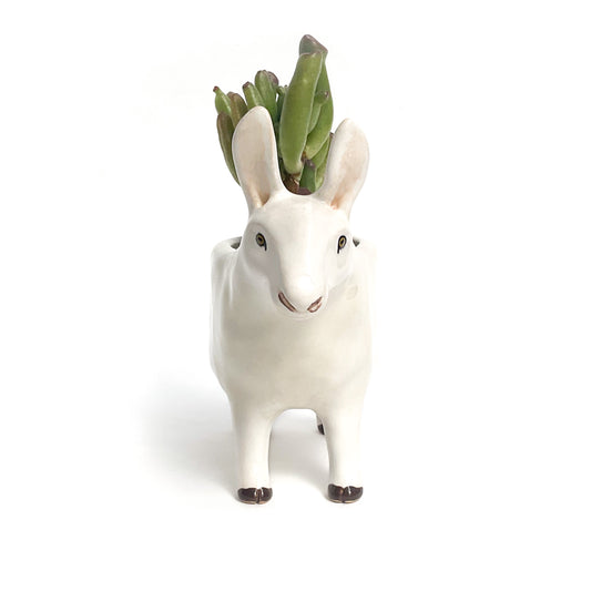 Border Leicester Sheep Pot - Ceramic Sheep Planter