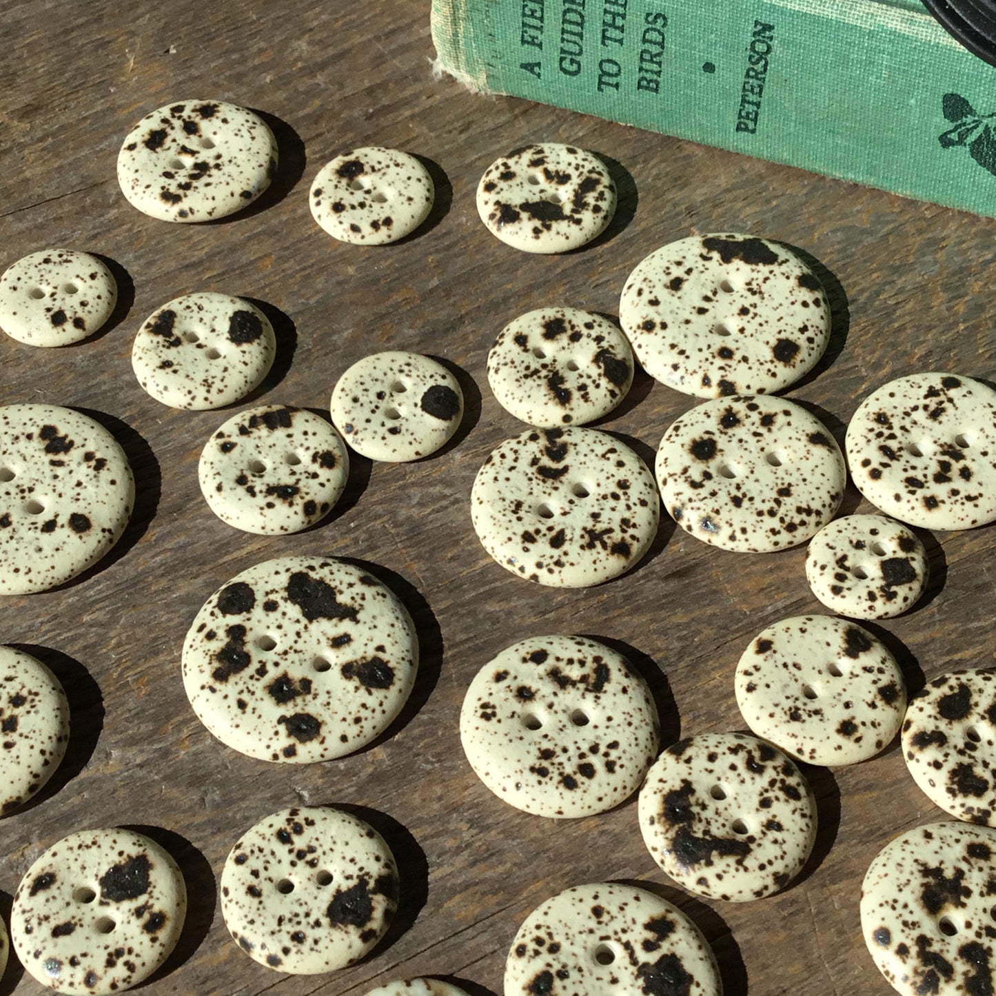 Quail's Egg - Matte Porcelain Buttons