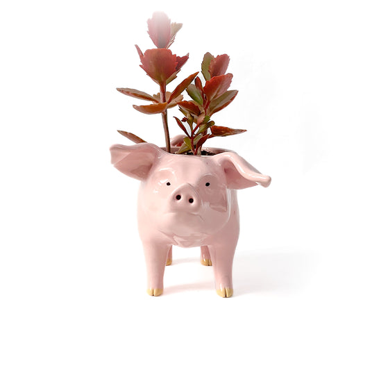 Pink Yorkshire Pig Pot