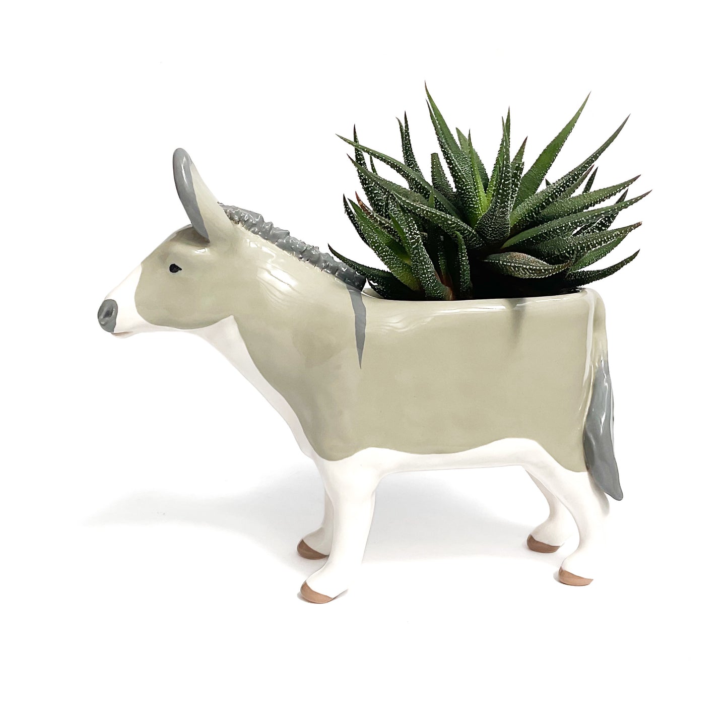 Miniature Mediterranean Donkey Pot