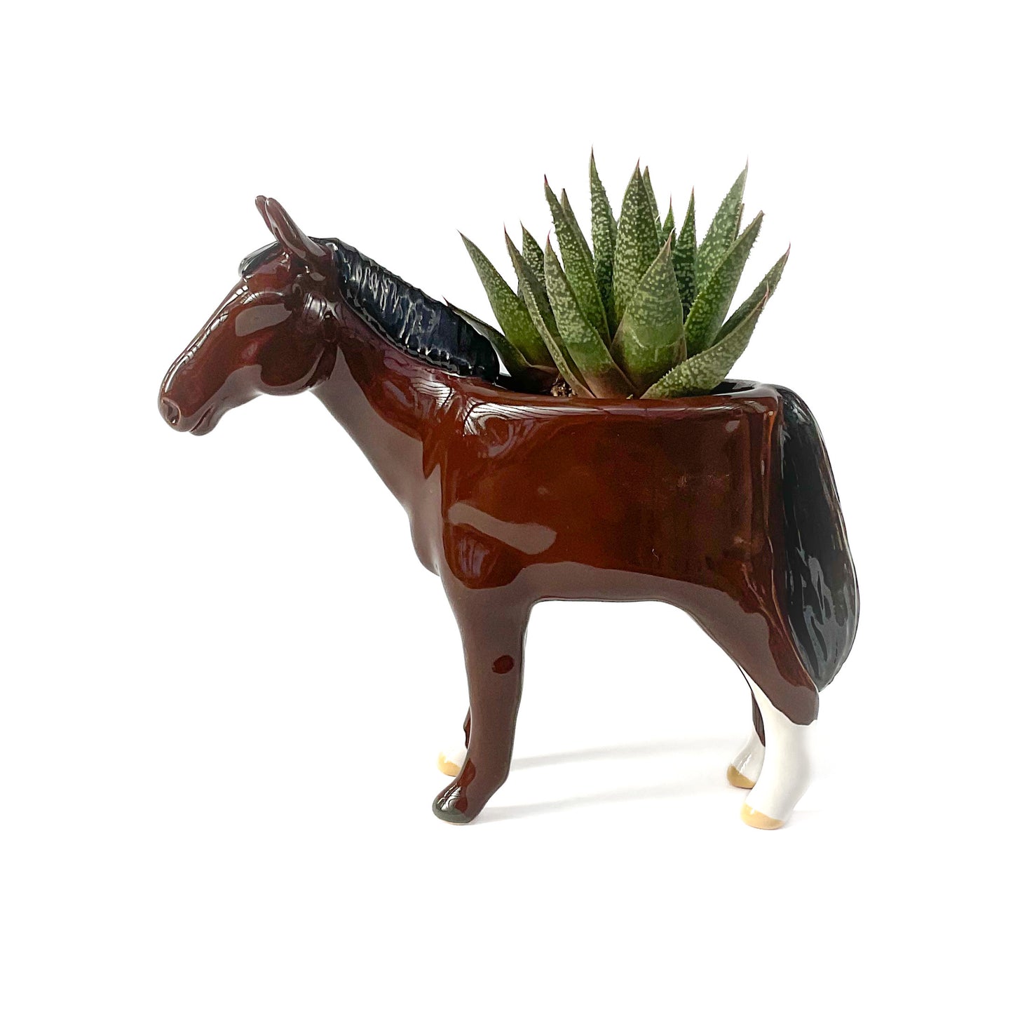 Thoroughbred Horse Pot