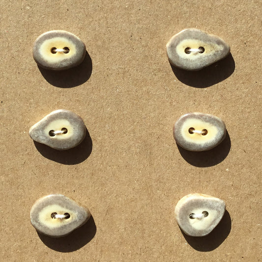 Polished Deer Antler Shed Buttons  3/4"  6-Pack