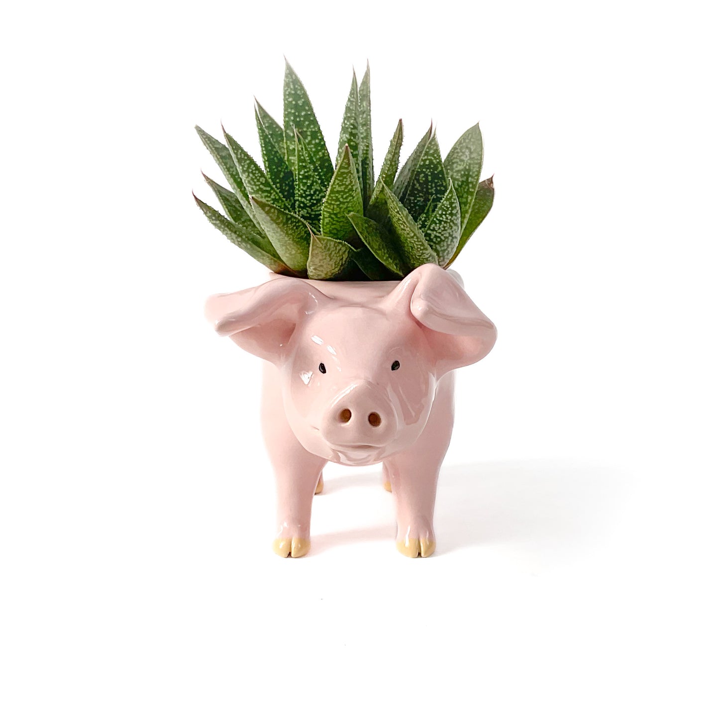 Pink Yorkshire Pig Pot