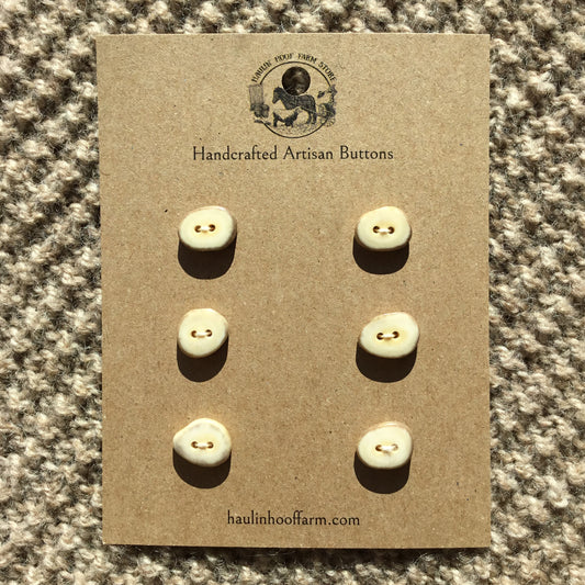 Polished Deer Antler Shed Buttons  5/8"  6-Pack