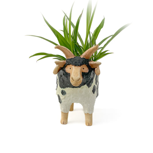 Stoneware Jacob Pot - Ceramic Sheep Planter