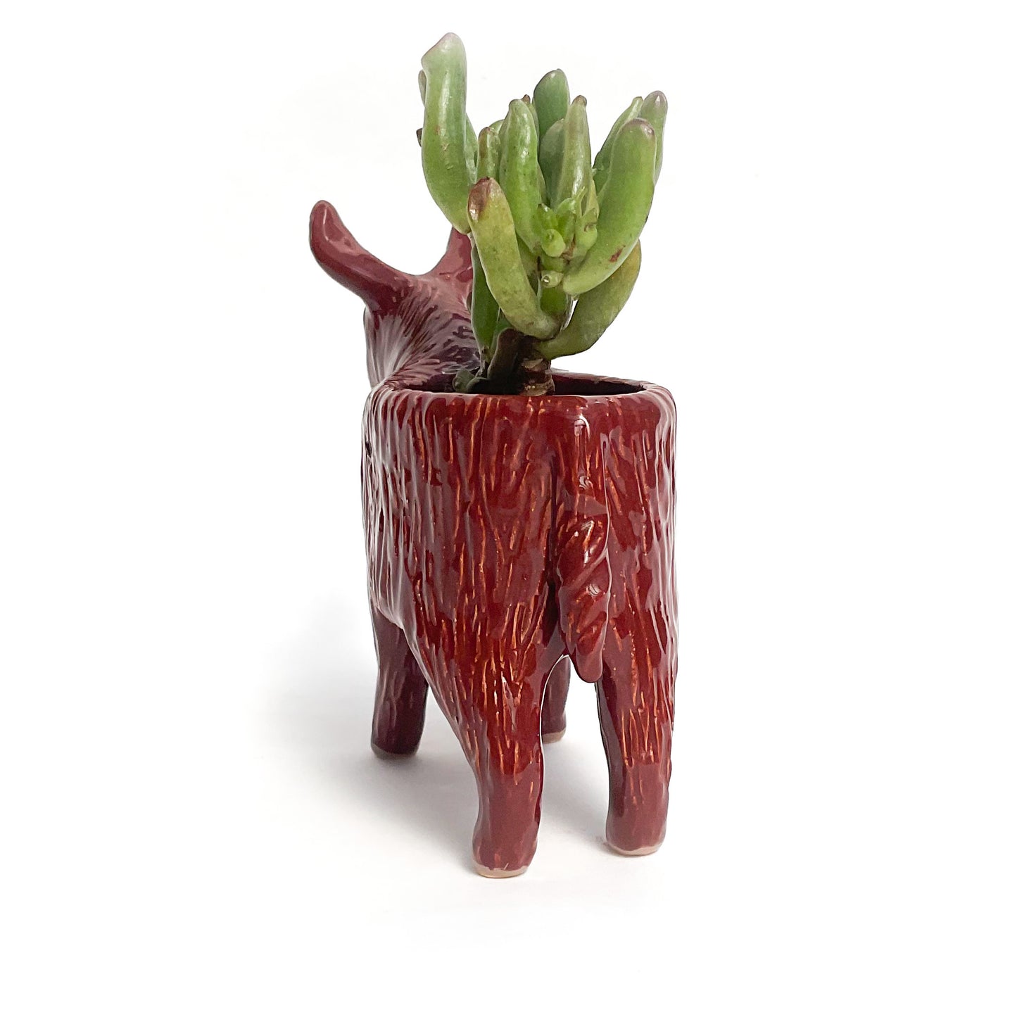 Baudet du Poitou Donkey Planter