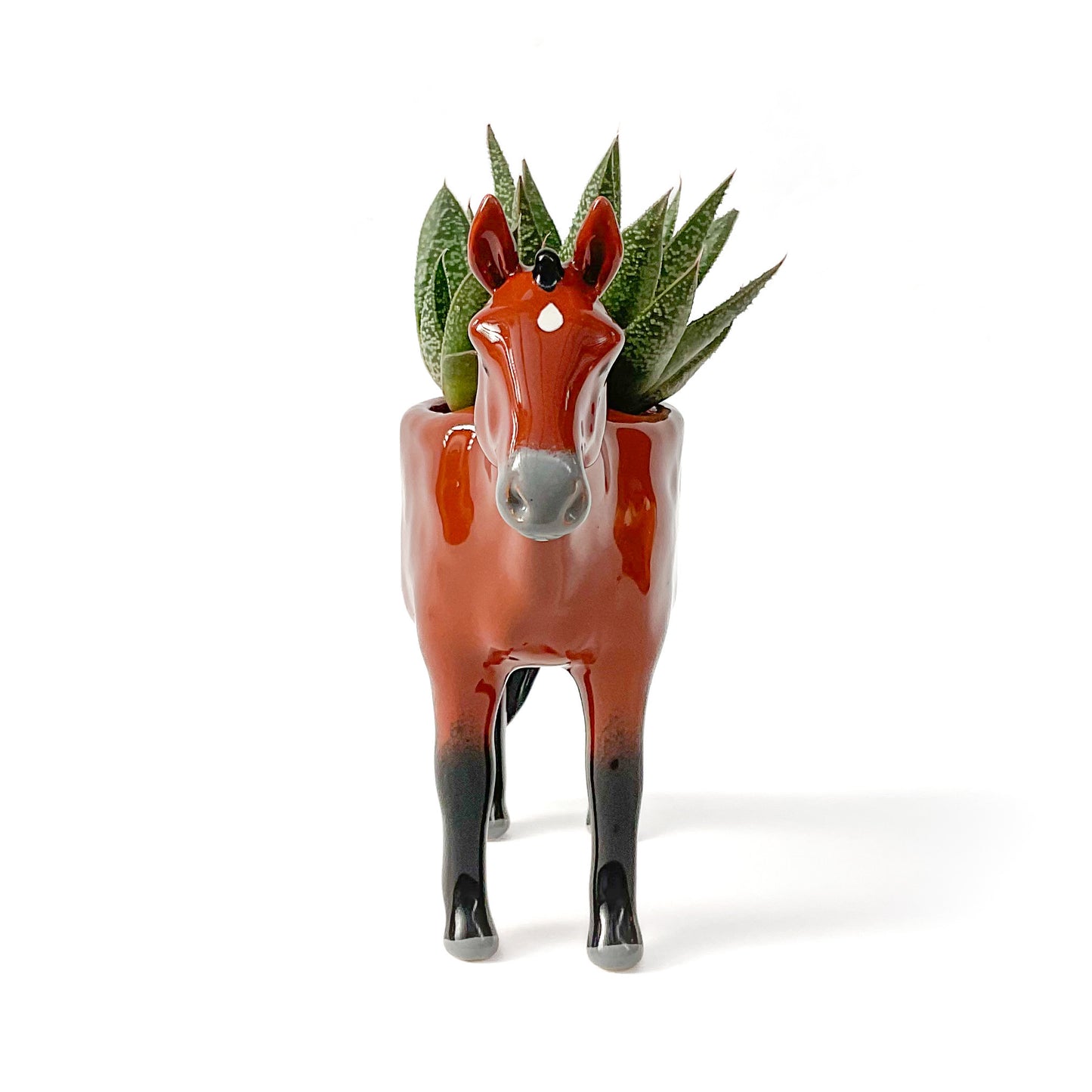 Thoroughbred Horse Pot